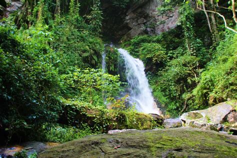 Ikogosi Warm Springs: Kaynar ve Serin Suların Buluştuğu Büyülü Bir Yer!