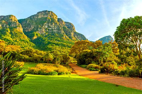  ! Kirstenbosch Ulusal Botanik Bahçesi Güney Afrika'nın Muhteşem Bitki Dünyasına Kapı Aralıyor! 